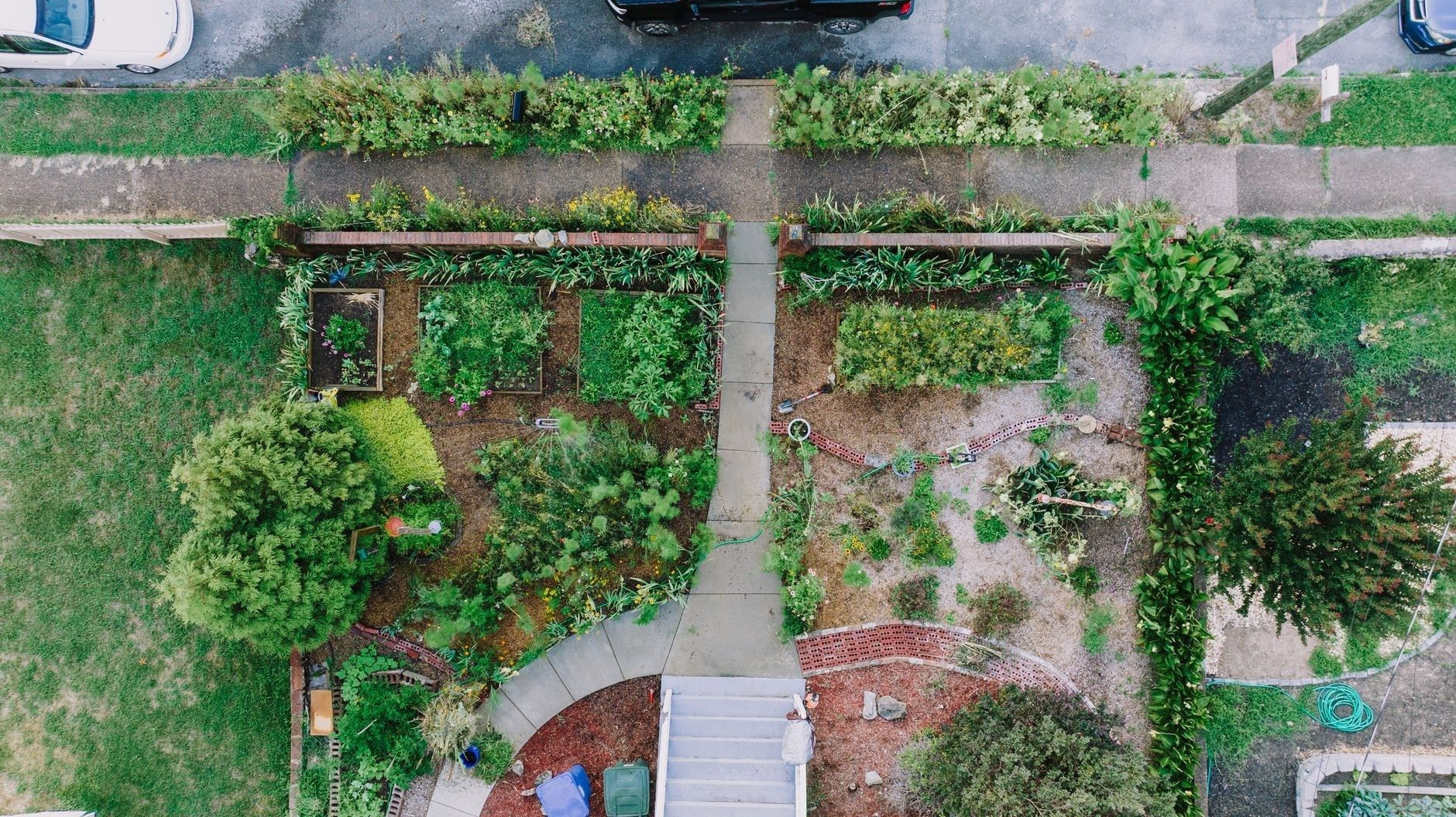 Aerial view of a lush community garden with planted beds and paths